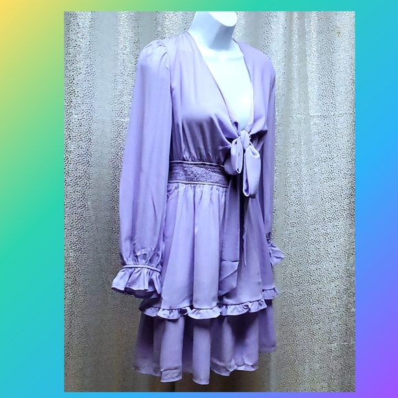 Sassy Tiered Swing Mini Skater Dress - Picture 4 of 9